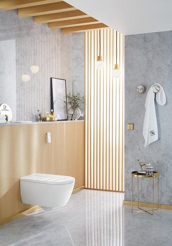 Унитаз биде Villeroy&Boch ViClean-L V0E100R1 подвесной с сиденьем Микролифт